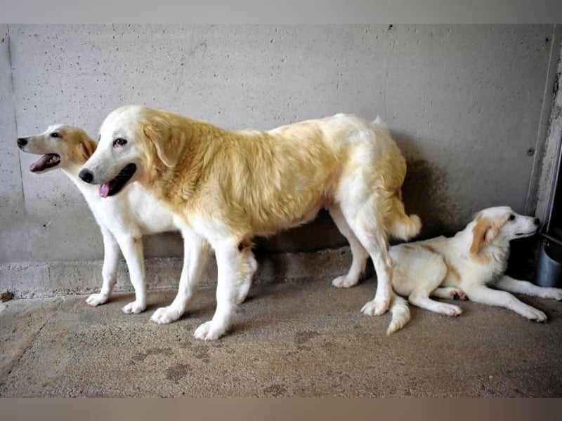 Benilda - Familiemutter in Not