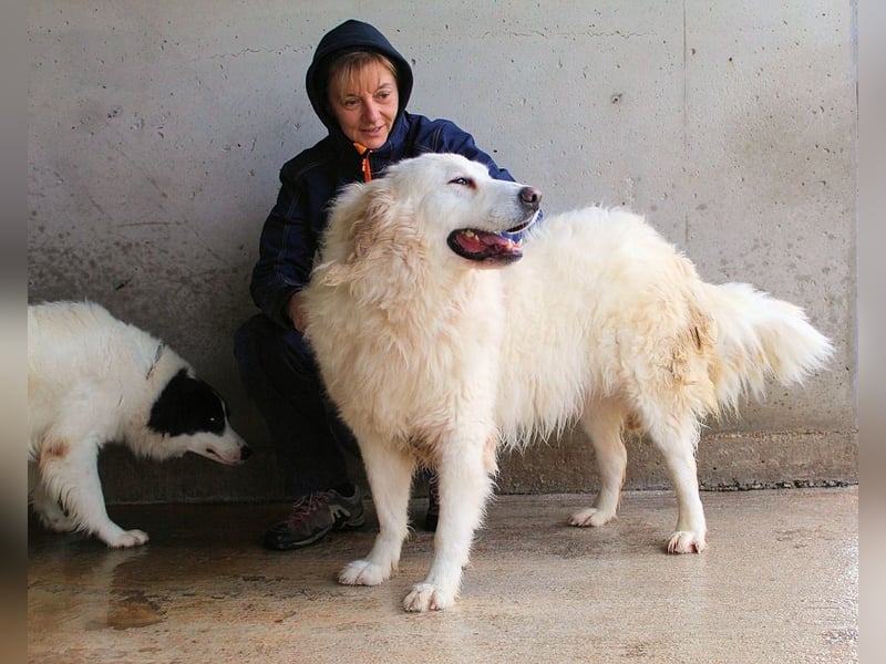 Leverett - Ich sehe was, was du (noch) nicht siehst!