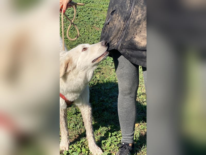 Mona - Ruhe, Würde und ein großes Herz