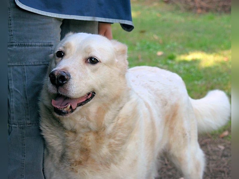 Zipper - Ein vergeudetes Leben