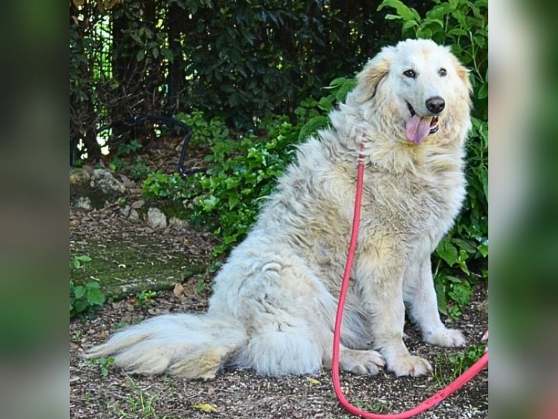 Filomela - Vom Sorgenkind zum Sonnenschein