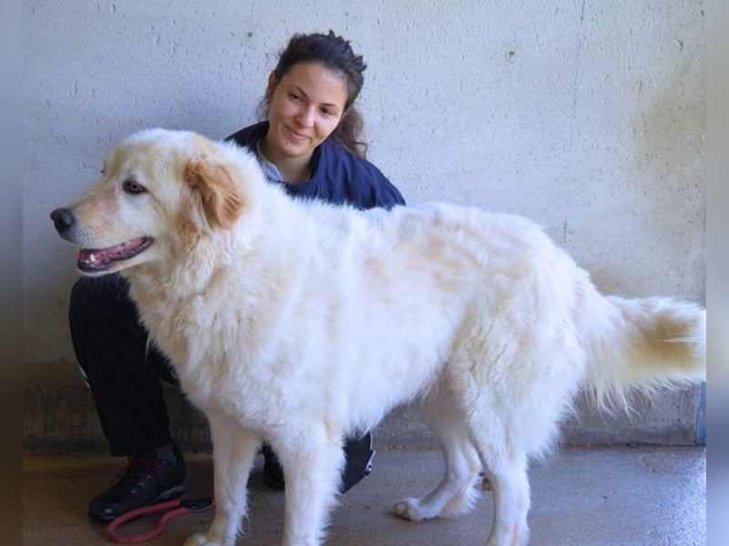 Skilah - Wenn Niemand zu Jemand wird