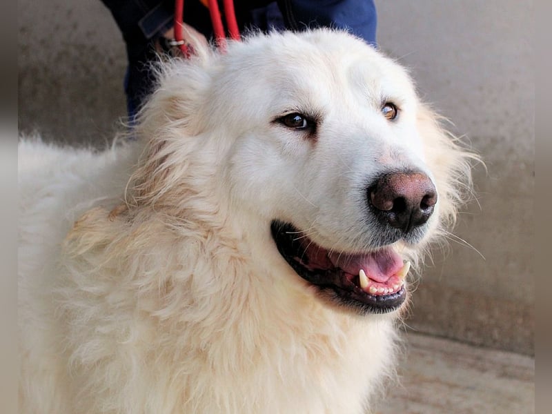 Leverett - Ich sehe was, was du (noch) nicht siehst!