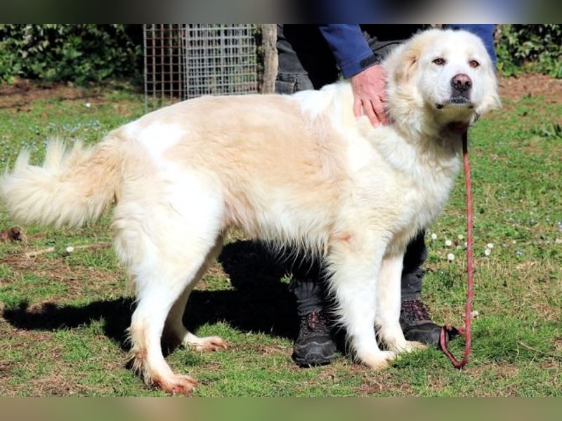 Eluard - Hoffnung auf echte Freundschaft!