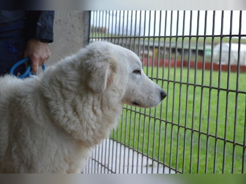 Rosvielle - Auf einer Skala von 1 bis 10....
