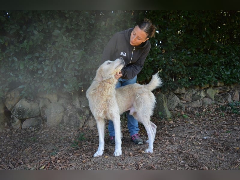 Sisko - es sind so viele