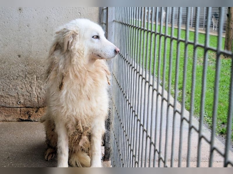 Fredrik - Was nach der Trennung kommt