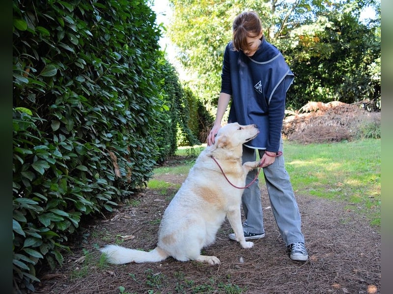 Zipper - Ein vergeudetes Leben