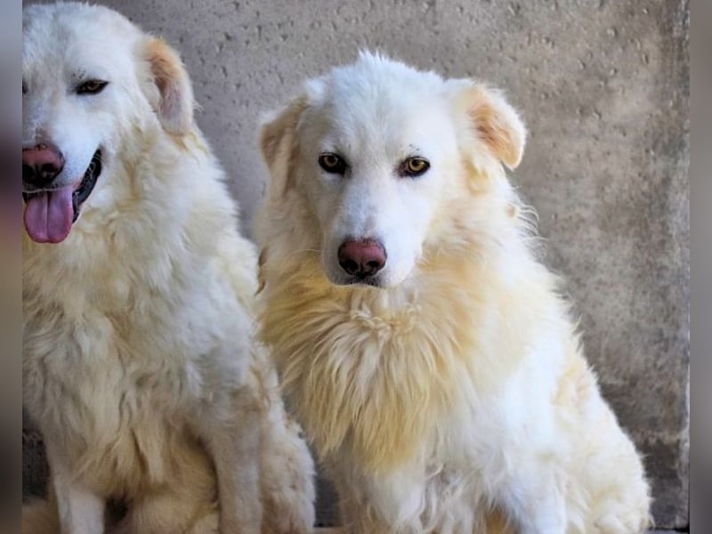 Fredrik - Für immer zusammen?