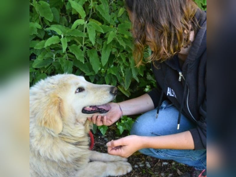 Filomela - Vom Sorgenkind zum Sonnenschein