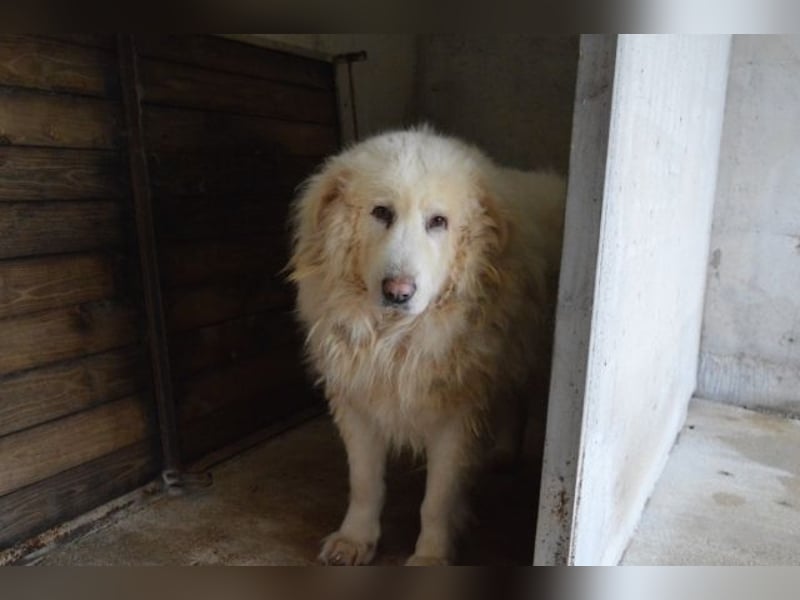 Atheron - Das Ehemaligentreffen