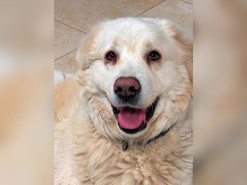 Quilmar - Was werden sie erzählen?