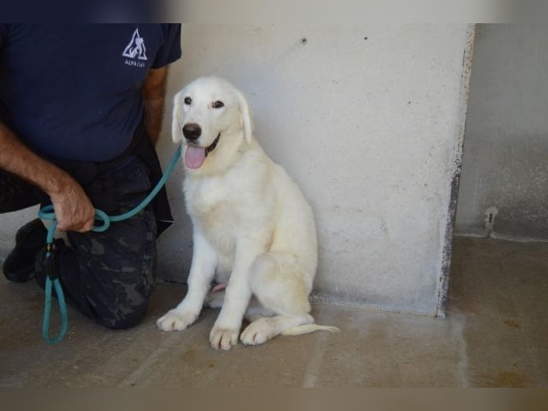 Nadrix - Groß genug für die ganze Welt
