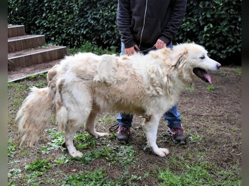 Eluard - Hoffnung auf echte Freundschaft!