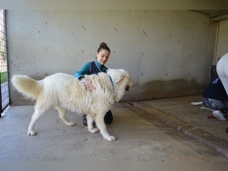 Leverett - Ich sehe was, was du (noch) nicht siehst!