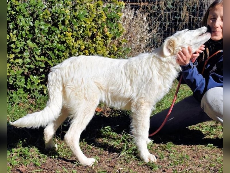 Heathon - sucht die Liebe seines Lebens