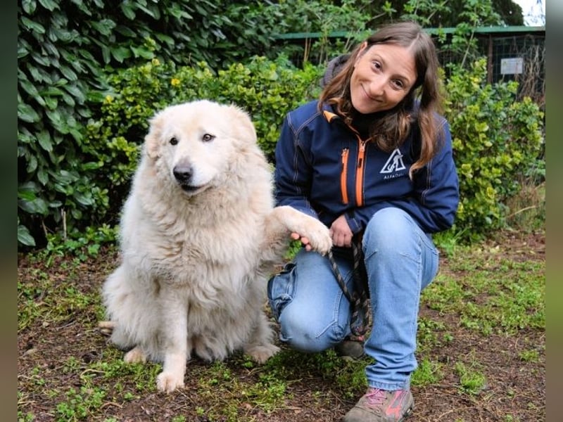 Tallulah - Grandezza auf vier Pfoten!