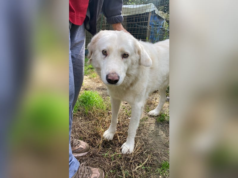 Sindbad - Zwischen Vorsicht und Vertrauen