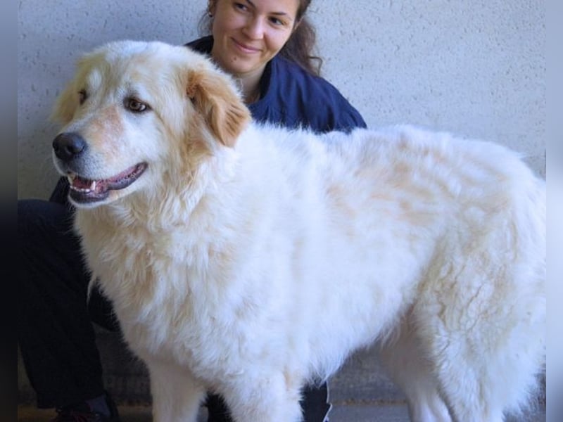 Skilah - Wenn Niemand zu Jemand wird