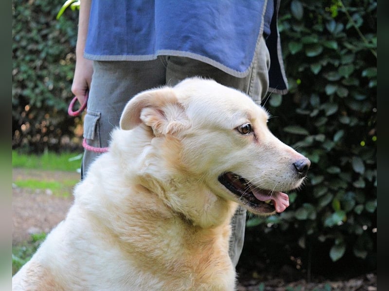 Zipper - Ein vergeudetes Leben