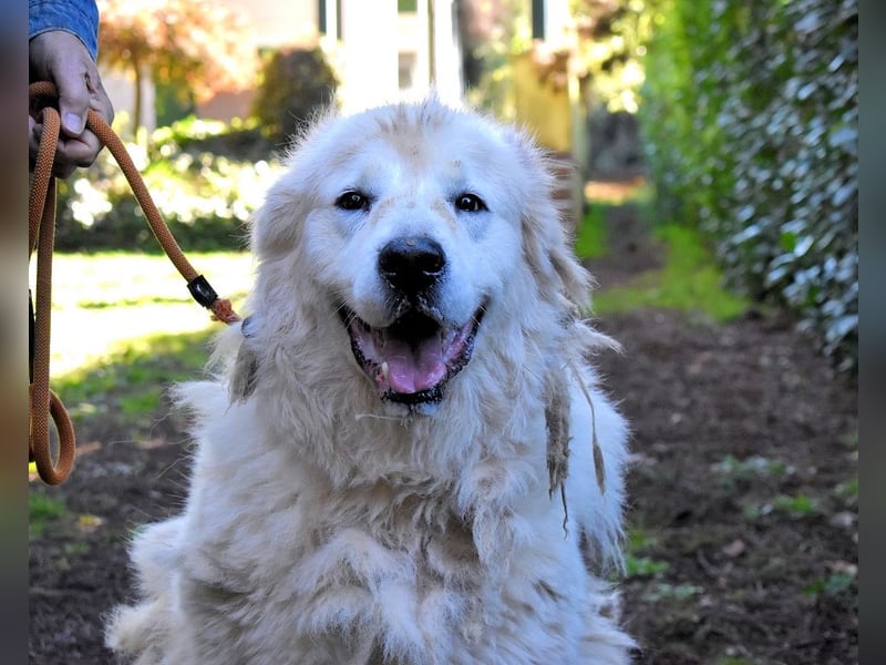 Apolonio - möchte für seine Menschen ein Fels in der Brandung sein