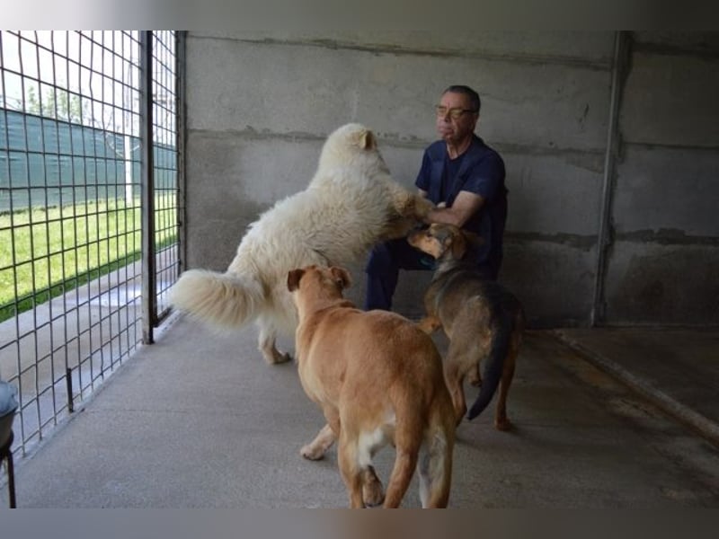 Quebry - Es ist, was es ist...