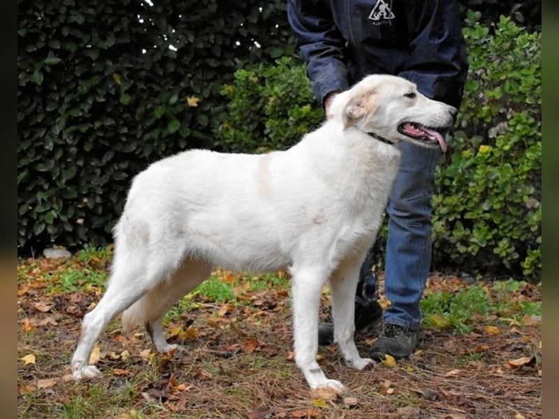 Yasmine - freundlicher Sonnenschein sucht sonniges Plätzchen