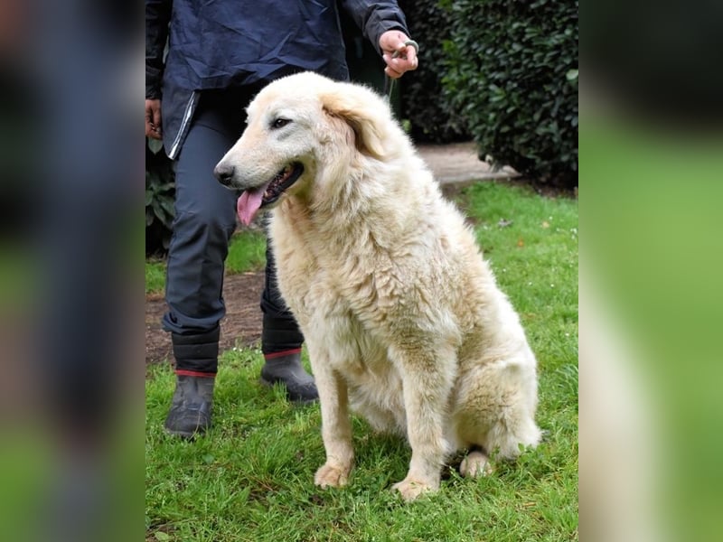 Filomela - Vom Sorgenkind zum Sonnenschein