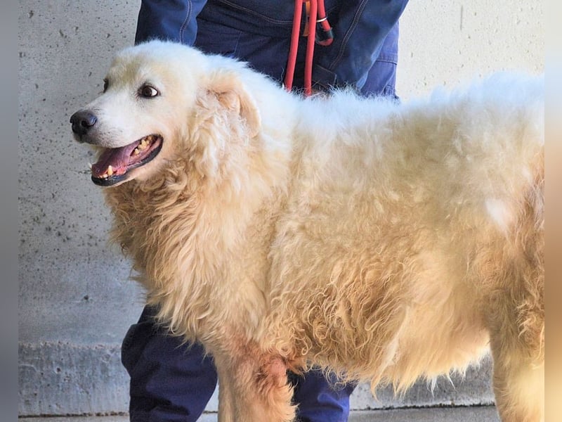 Albertone - Alles, alles Gute!!!