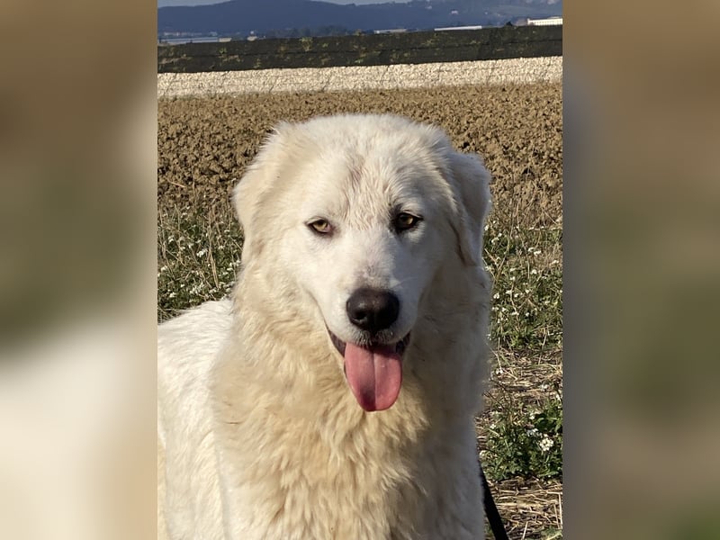 Madea - in ihrer ganzen Schönheit