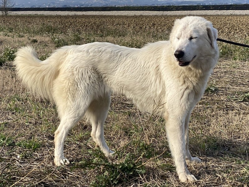 Madea - in ihrer ganzen Schönheit