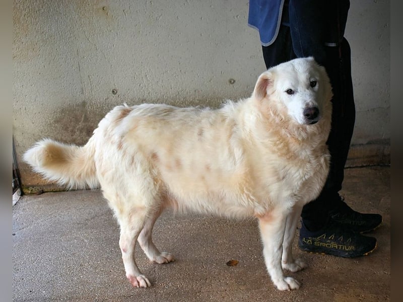 Sallustio - Der Sinn des Lebens