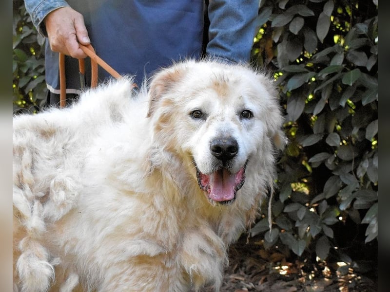Apolonio - möchte für seine Menschen ein Fels in der Brandung sein