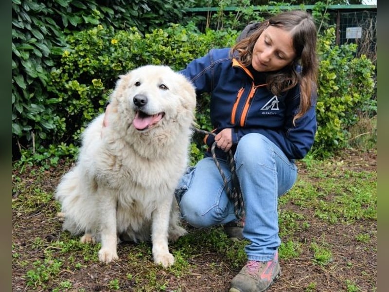 Tallulah - Grandezza auf vier Pfoten!