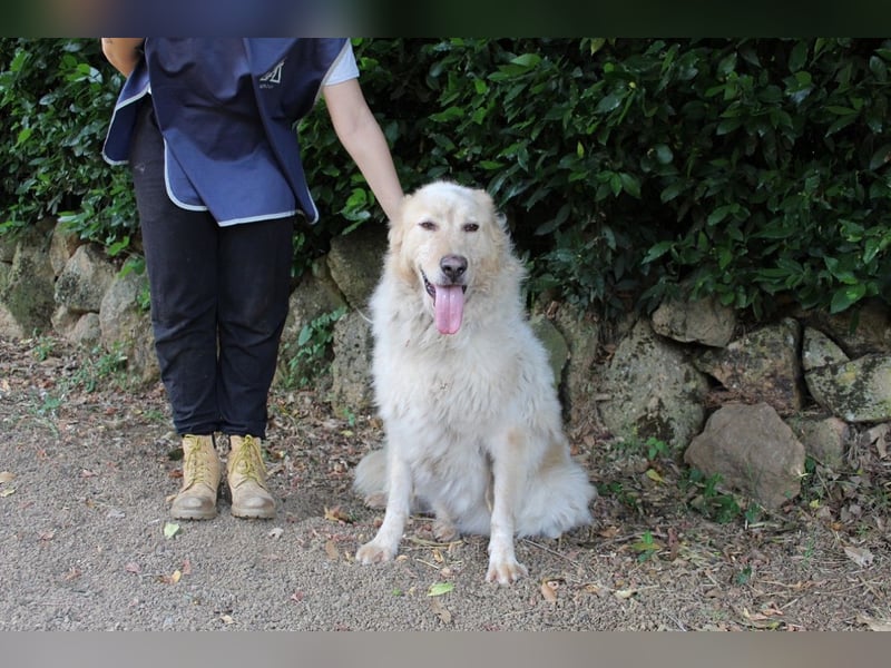 Paolo - Oh, huch, wow!!!