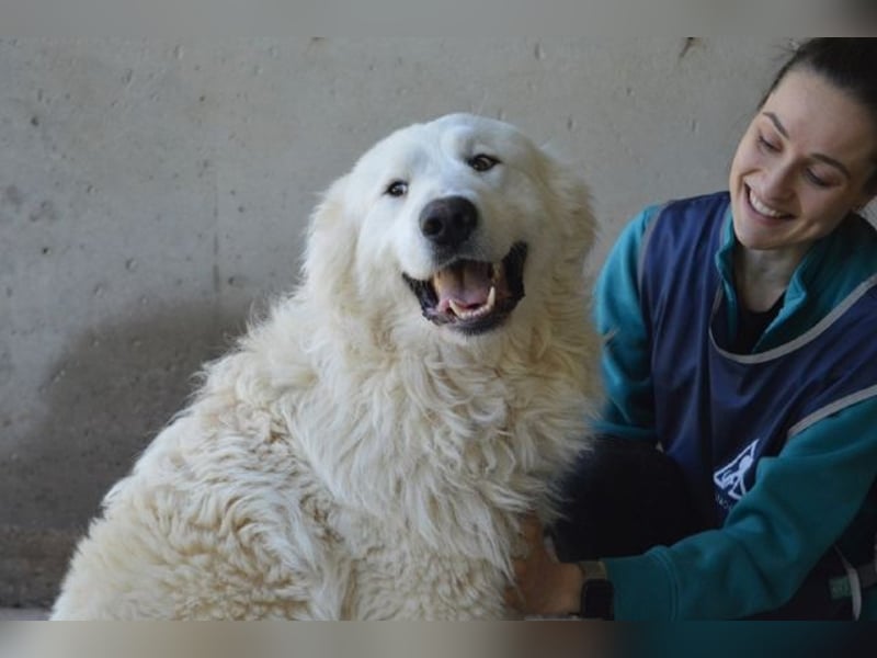 Leverett - Ich sehe was, was du (noch) nicht siehst!