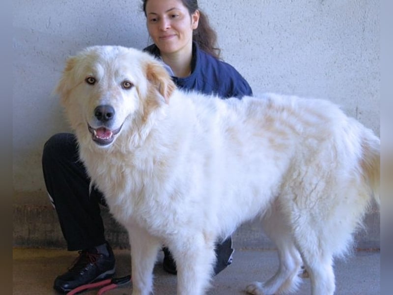 Skilah - Wenn Niemand zu Jemand wird