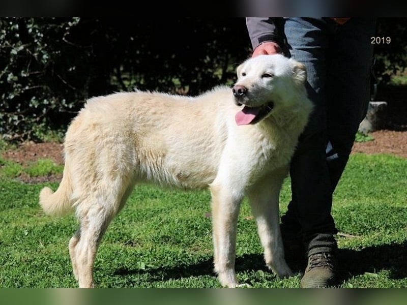 Zipper - Ein vergeudetes Leben