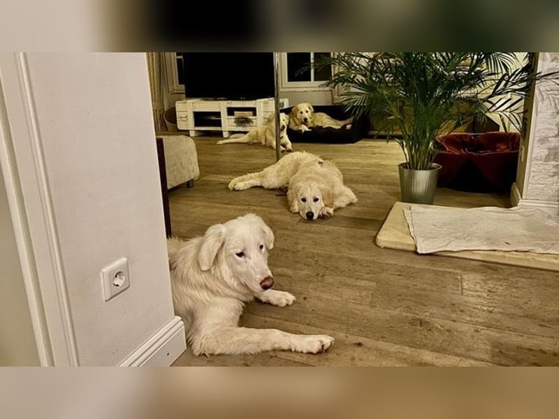 Stardust - Von der Erde zum Mond und zurück....