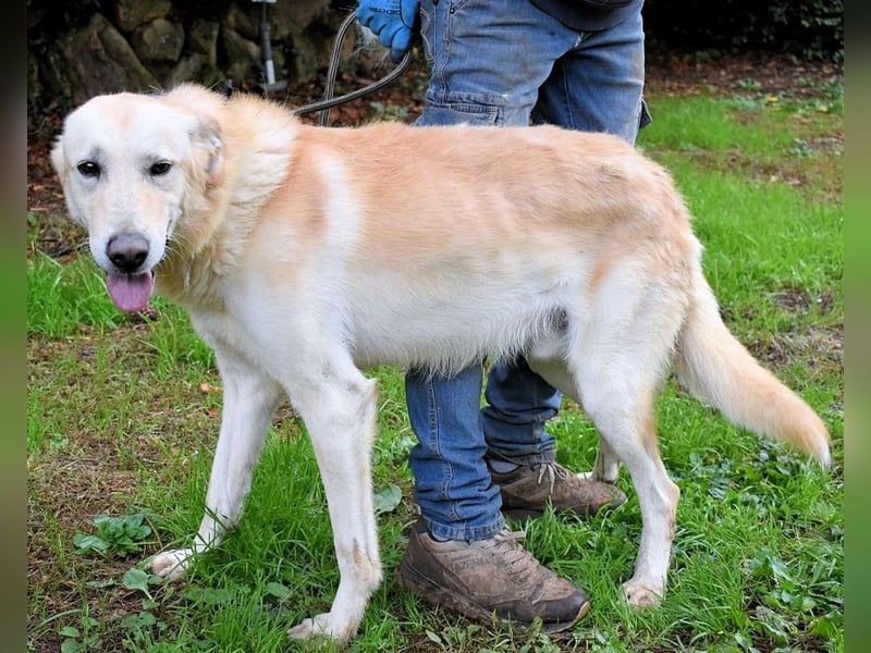 Yannick - eine zweite Kindheit?