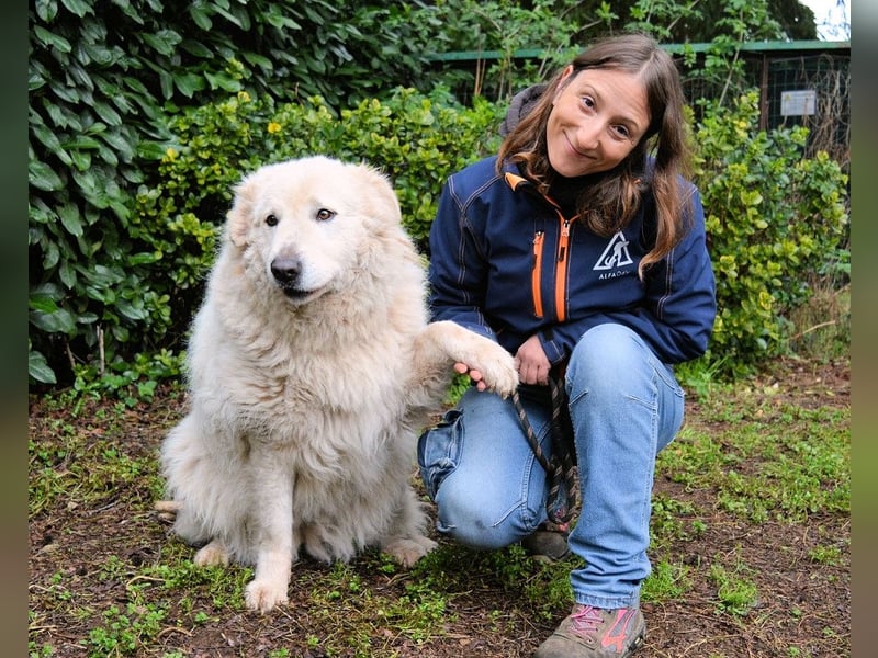 Tallulah - Grandezza auf vier Pfoten!