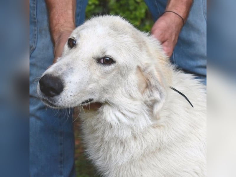 Yasmine - freundlicher Sonnenschein sucht sonniges Plätzchen