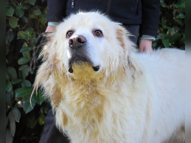 Balvin - Andere schauen bis zum Horizont