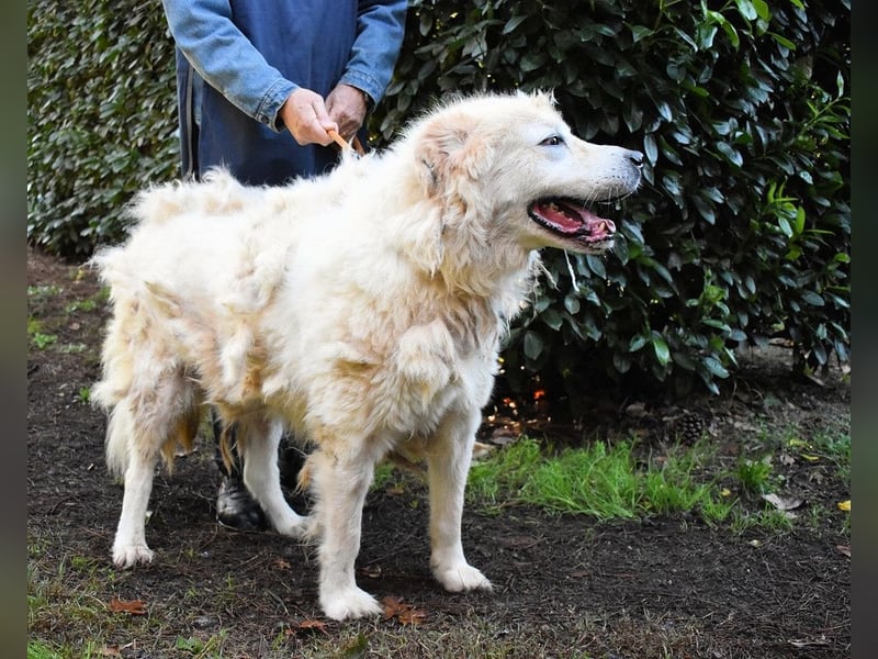 Apolonio - möchte für seine Menschen ein Fels in der Brandung sein