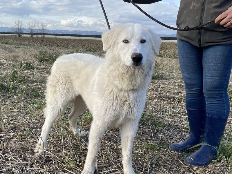 Mona - Ruhe, Würde und ein großes Herz