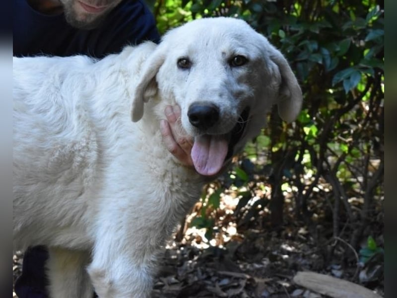 Dayton - niemals ist eine schrecklich lange Zeit