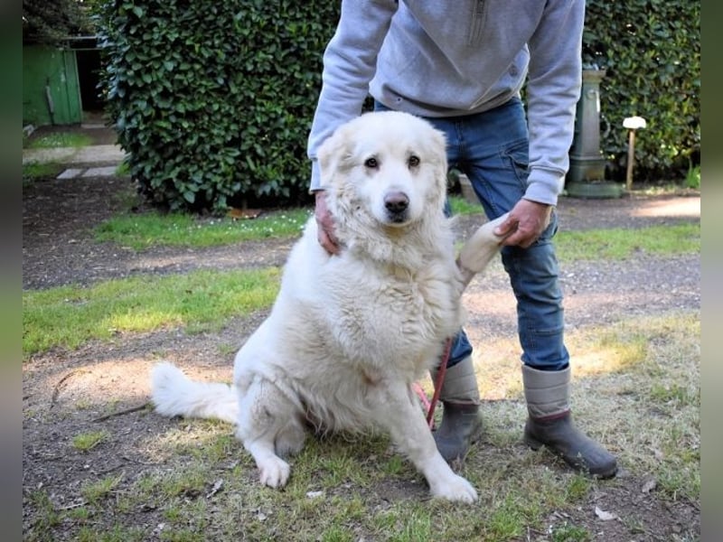 Quilmar - Was werden sie erzählen?