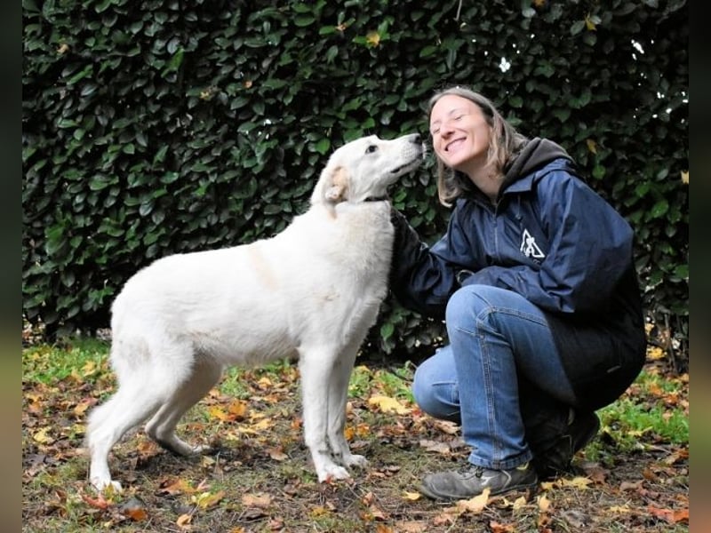 Yasmine - freundlicher Sonnenschein sucht sonniges Plätzchen