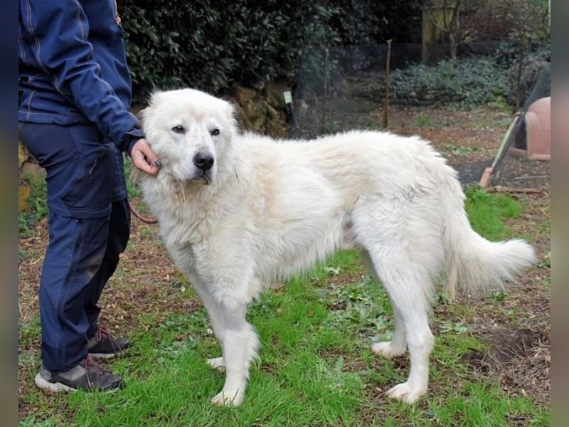Apolonio - möchte für seine Menschen ein Fels in der Brandung sein