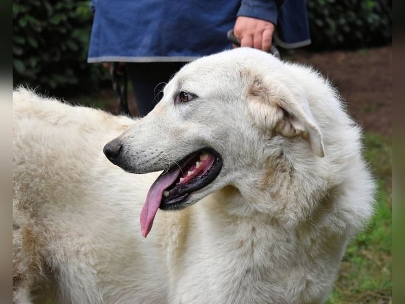 Dayton - niemals ist eine schrecklich lange Zeit